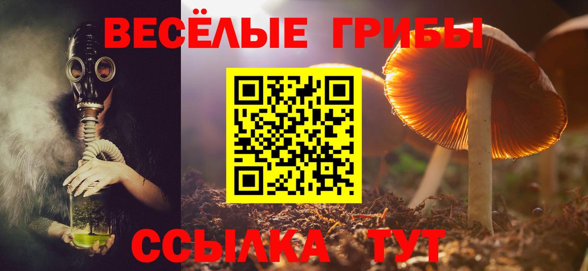 Псилоцибиновые грибы Psilocybe  где продают   Долгопрудный  Вход с VPN 